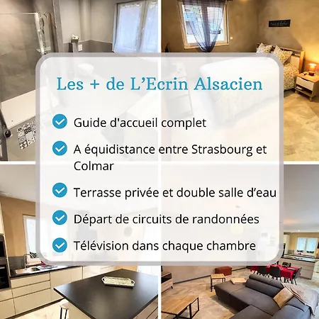 L'ecrin Alsacien - Maison Spacieuse Renovee - Route Des Vins